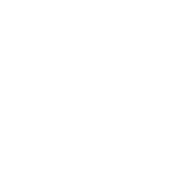 Fever Pitch
